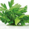 aromatiche