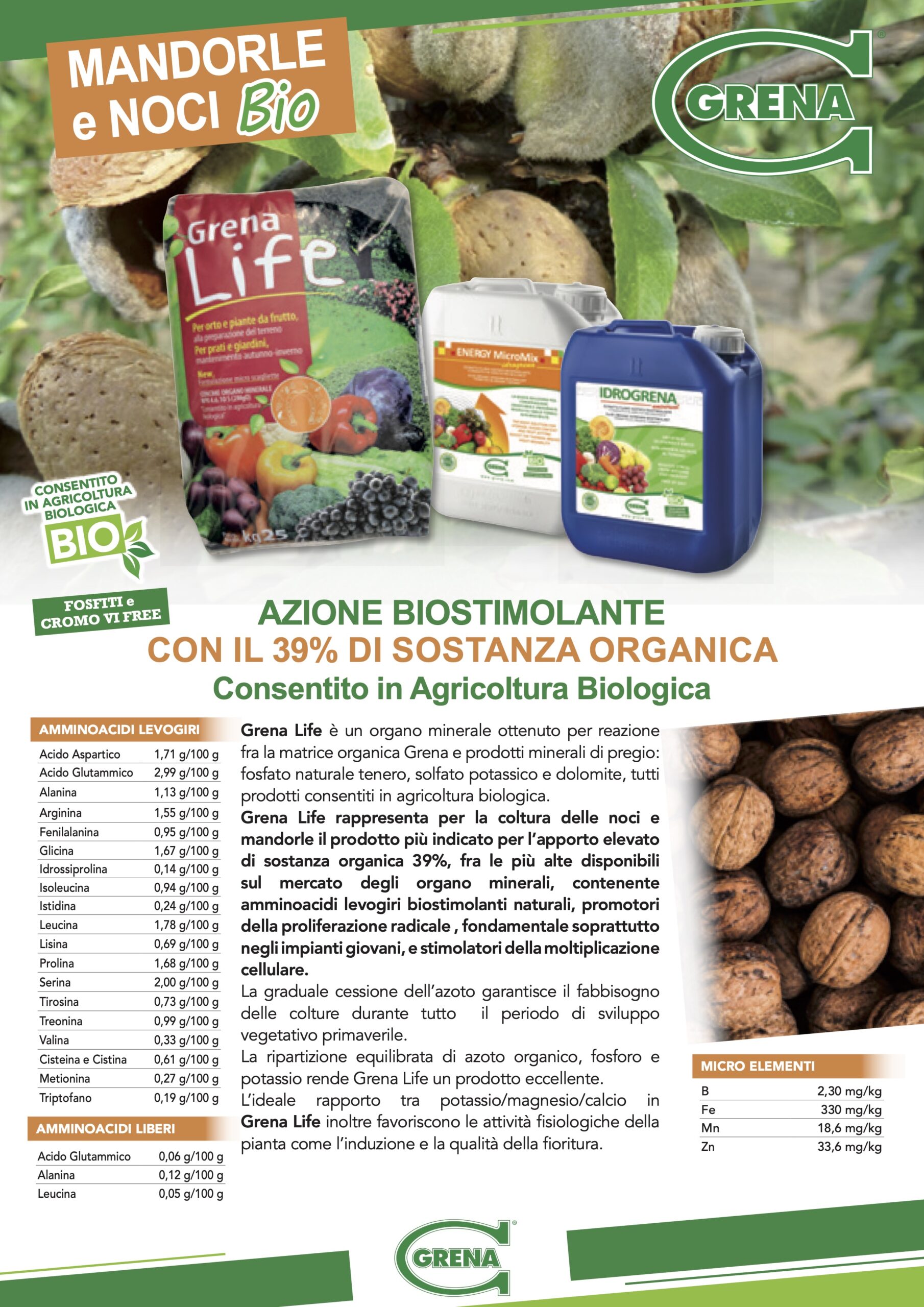 it_mandorle_noci