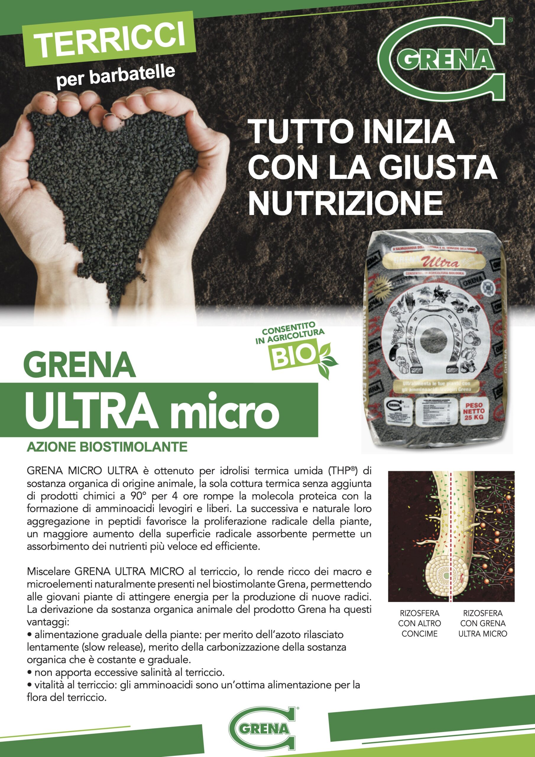 it_terricci
