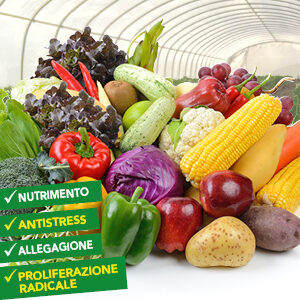 news concimazione orticole