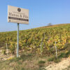 news test champagne