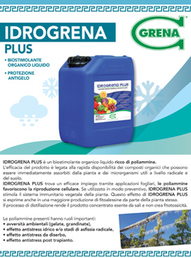 download idrogrena plus it