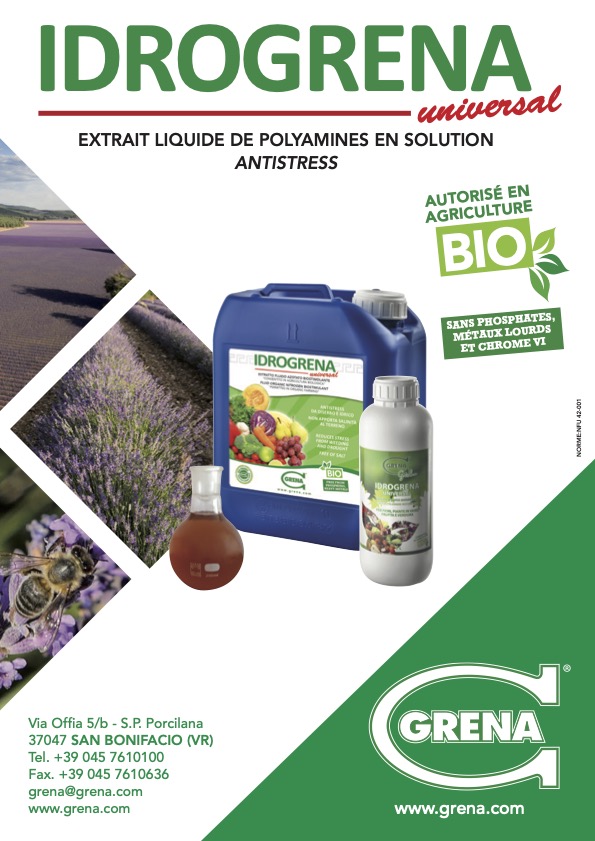 fr idrogrena lavanda