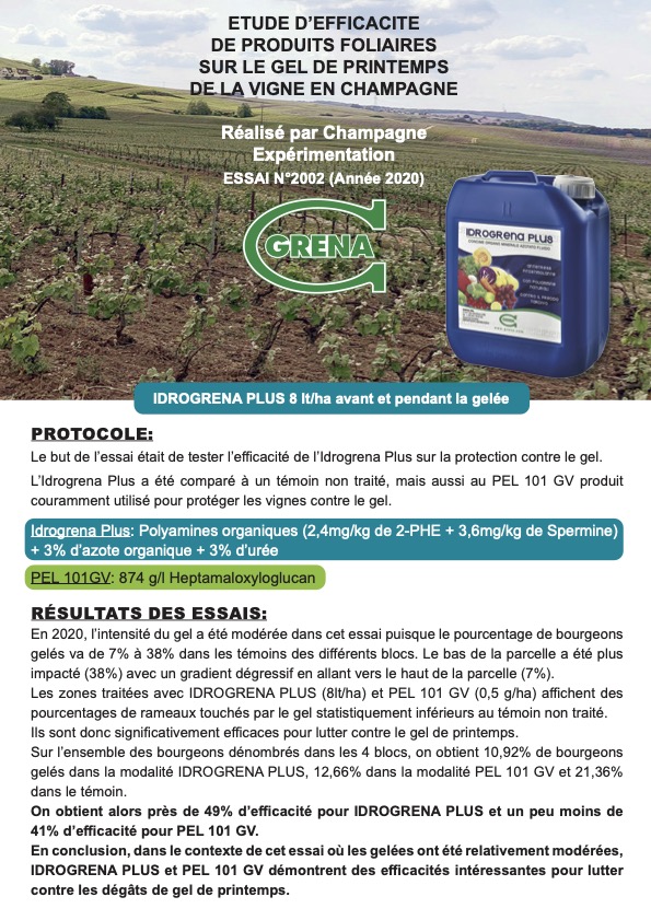 fr test champagne idrogrena plus