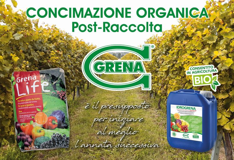 Durante la stagione produttiva le viti investono tantissime risorse per