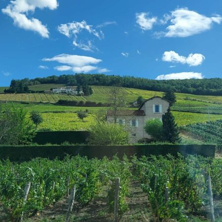 Laura Magagna visitant les vignobles de la région de Lyon