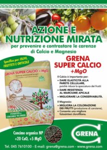 Aktion und gezielte Ernaehrung mit Grena SuperCalcio 2MgO