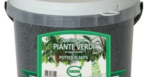 GRENA ULTRA MICRO GREEN PLANTS Sale and marketing of 5000f dst jpg flffffff p500x261 q75ccb13 1oh06 Aareeg2HtA ZD1xGrODcv042XUTxV2CjdkP HmAjo1EOEQoe63405B4D nc sidb1eadf