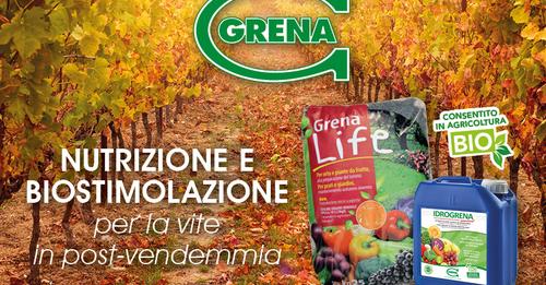 NUTRITION ET BIOSTIMULATION de la vigne apres vendanges Vente 5000f dst jpg flffffff p500x261 q75ccb13 1oh06 AbF5aocDZAPcOvye5rBz1PrJcF4XAvorsxd c3VHBEJpCAoe635189C5 nc sidfd4c3b