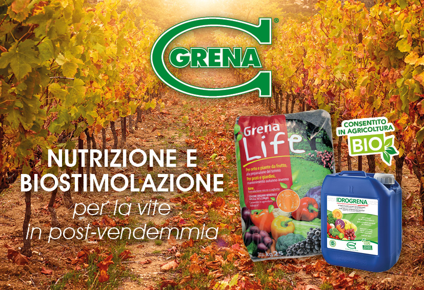 img GRENA Post raccolta Ottobre 2022