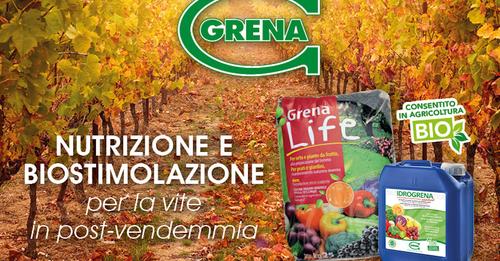 Grain nutrition et biostimulation pour la vigne 5000f dst jpg flffffff p500x261 q75ccb13 1oh06 AbG SZcufs5TIGZHADtE7bEJW3GoVv92boxzobEtep8ZbQoe636D40A2 nc sidb1eadf