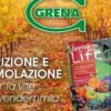 Grano nutricion y bioestimulacion para la vid 5000f dst jpg flffffff p500x261 q75ccb13 1oh06 AbG SZcufs5TIGZHADtE7bEJW3GoVv92boxzobEtep8ZbQoe636D40A2 nc sidb1eadf