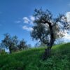 Oggi i nostri Tecnici sono a Perugia in visita agli