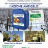 LATE FROSTS idrogrenaplus n8 is a remedy for environmental adversities