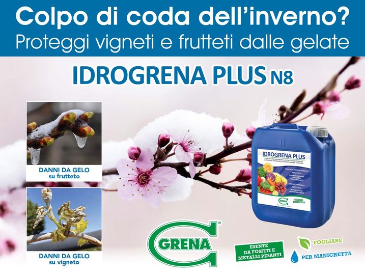 Colpo di coda dellinverno tanto temuto dagli agricoltori per le
