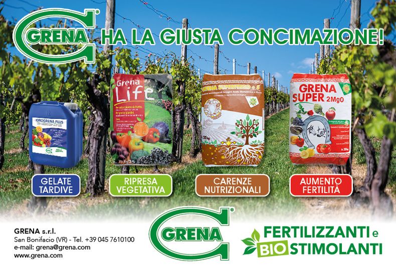 Late frosts Vegetative recovery Nutritional deficiencies Increased fertility Gr