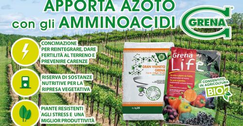 Nitrogeno a las plantas en primavera puedes con los aminoacidos 5000f dst jpg flffffff p500x261 q75ccb13 1oh06 AbH26P4GPIP19Hr24vaNyzp7IGty3TsF5ue4h8OHSUkqvAoe63EFF510 nc sidb1eadf