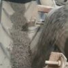 Produzione in corso grena biostimolanti fertilizzanti