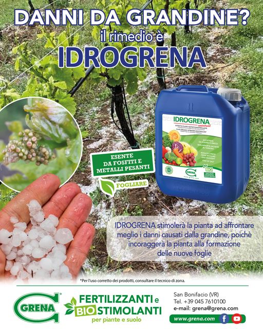 A heavy hailstorm hit almost all of Veneto, causing damage
