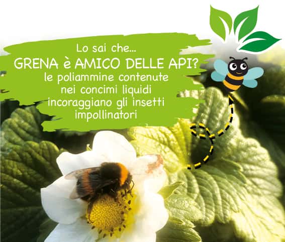 e per celebrare la Giornata Mondiale del Pianeta Terra e
