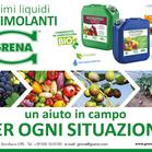 Biostimulants Grena, une aide sur le terrain pour chaque situation