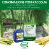 Dopo la raccolta degli #asparagi è importante intervenire con una