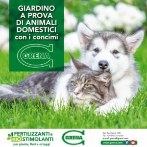 Organic fertilizers contain nutrients for plants and when they are