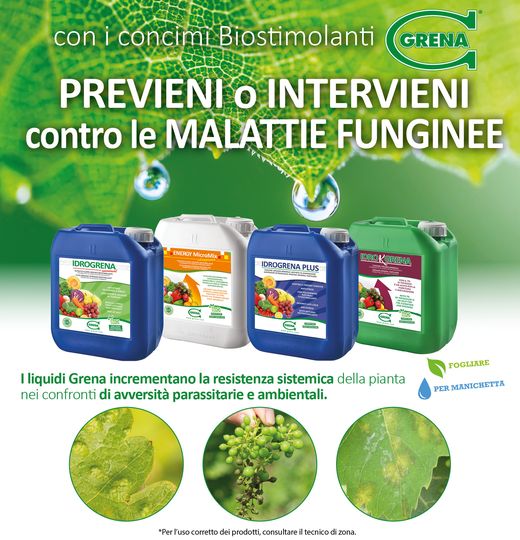 PREVENT or INTERVENE against FUNGAL DISEASES with Grena Biostimulant fertilizers