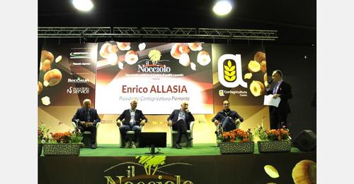 Piemontesischer Haselnussanbau, der immer mehr auf die Ernährung des Bodens