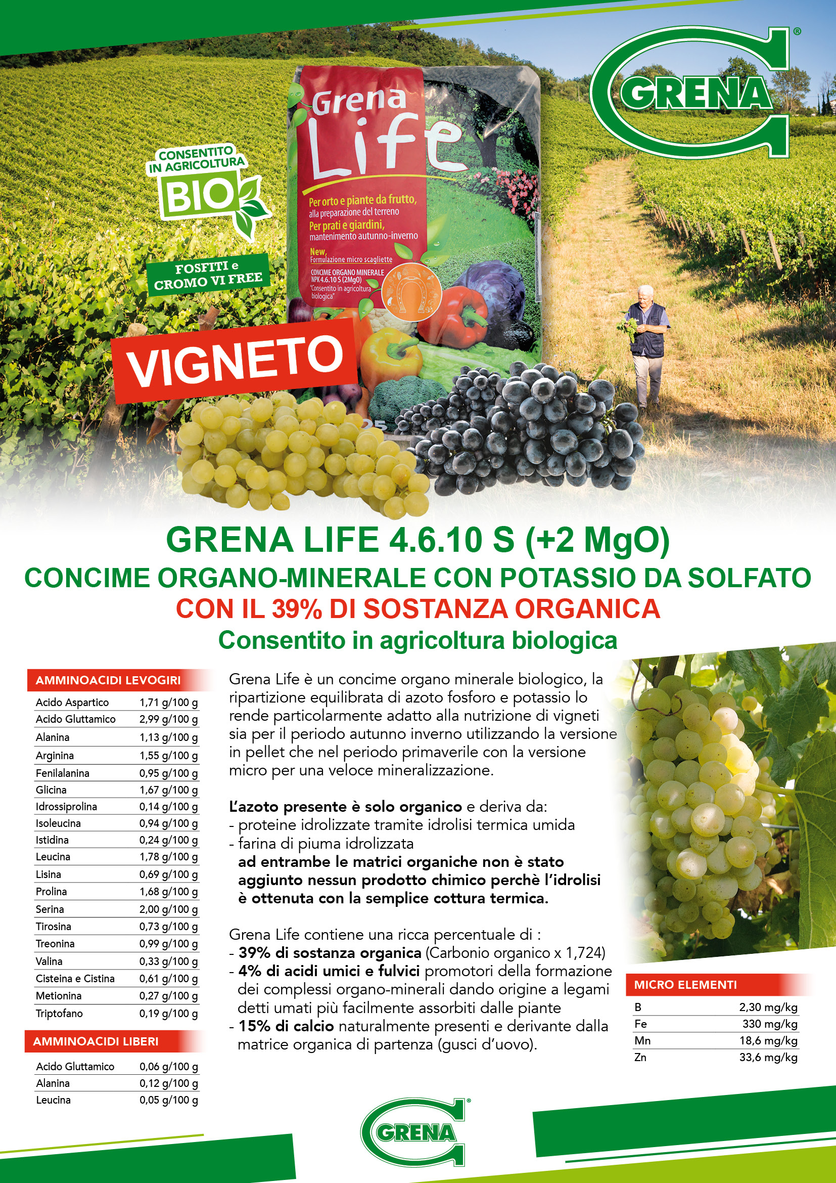 Scheda VIGNETO con LiFe