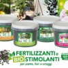 Time to transplant and prepare your flower garden or balcony