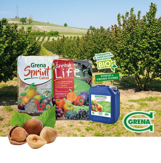 FERTILISATION DU NOISETIER AVEC GRENA contactez nous pour plus d’infos