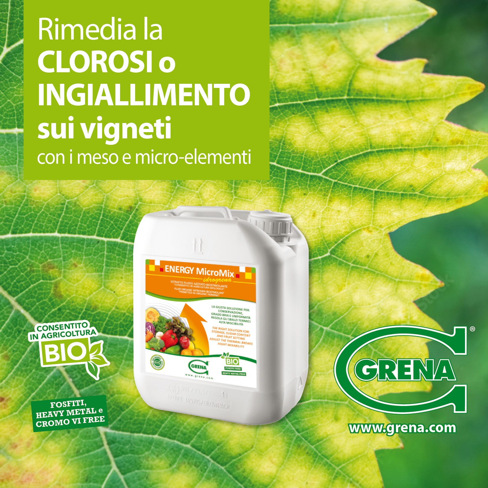 Img ENERGY rimedio ingiallimento Vigneto