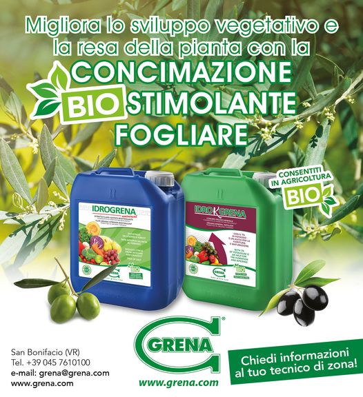 MEJORE EL DESARROLLO VEGETATIVO y el RENDIMIENTO DE LAS PLANTAS