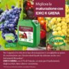 Migliora la maturazione con IDRO K GRENA! Per il vigneto