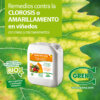 News ENERGY rimedio ingiallimento Vigneto SPA