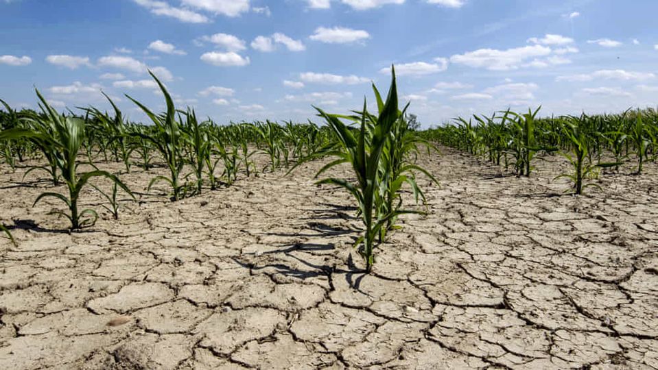 Reduziert Dürre wirklich die Wasserinfiltration in den Boden? Kommentar zum