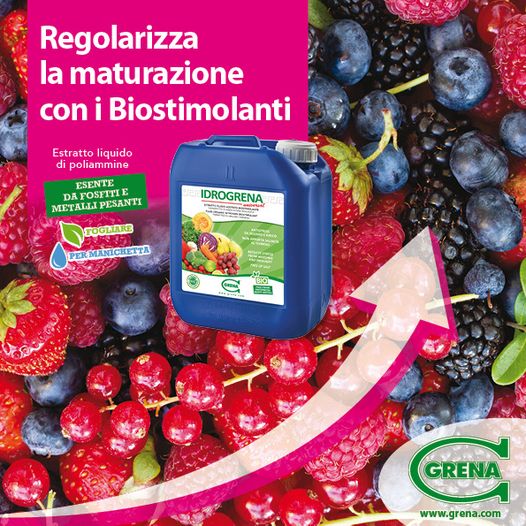 Regulieren Sie die Reifung mit Grena Biostimulanzien! Idrogrena ist ein Biostimulans