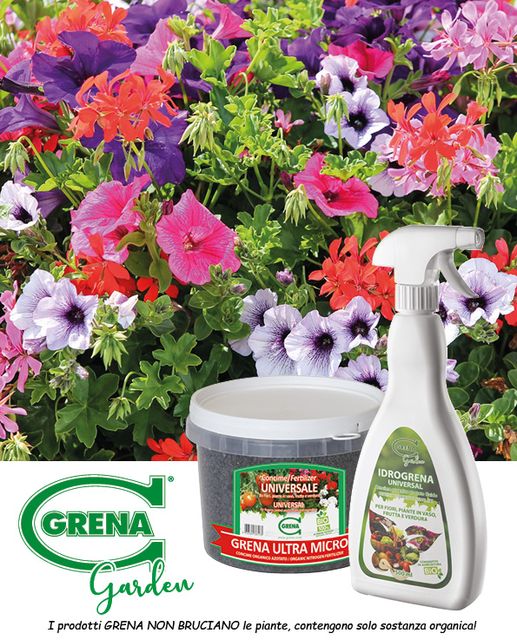 Summer flowers! Use the #IDROGRENA spray on the leaves or