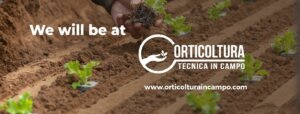 Was bedeutet technischer Gartenbau im Freiland? Es handelt sich nicht