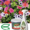 ¡Flores de verano! Usa el spray #IDROGRENA en las hojas
