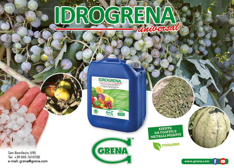 Banner orizz IDROGRENA per danni da grandine 2023