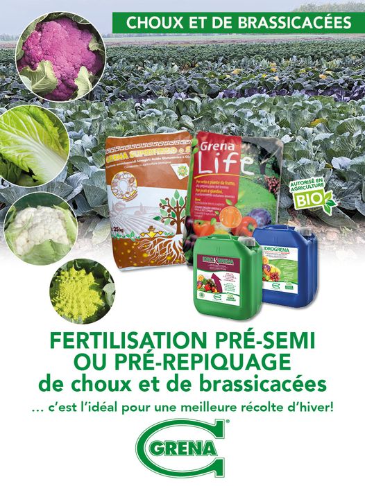 FERTILISATION PRÉ SEMI OU PRÉ REPIQUAGE de choux et de brassicacées …