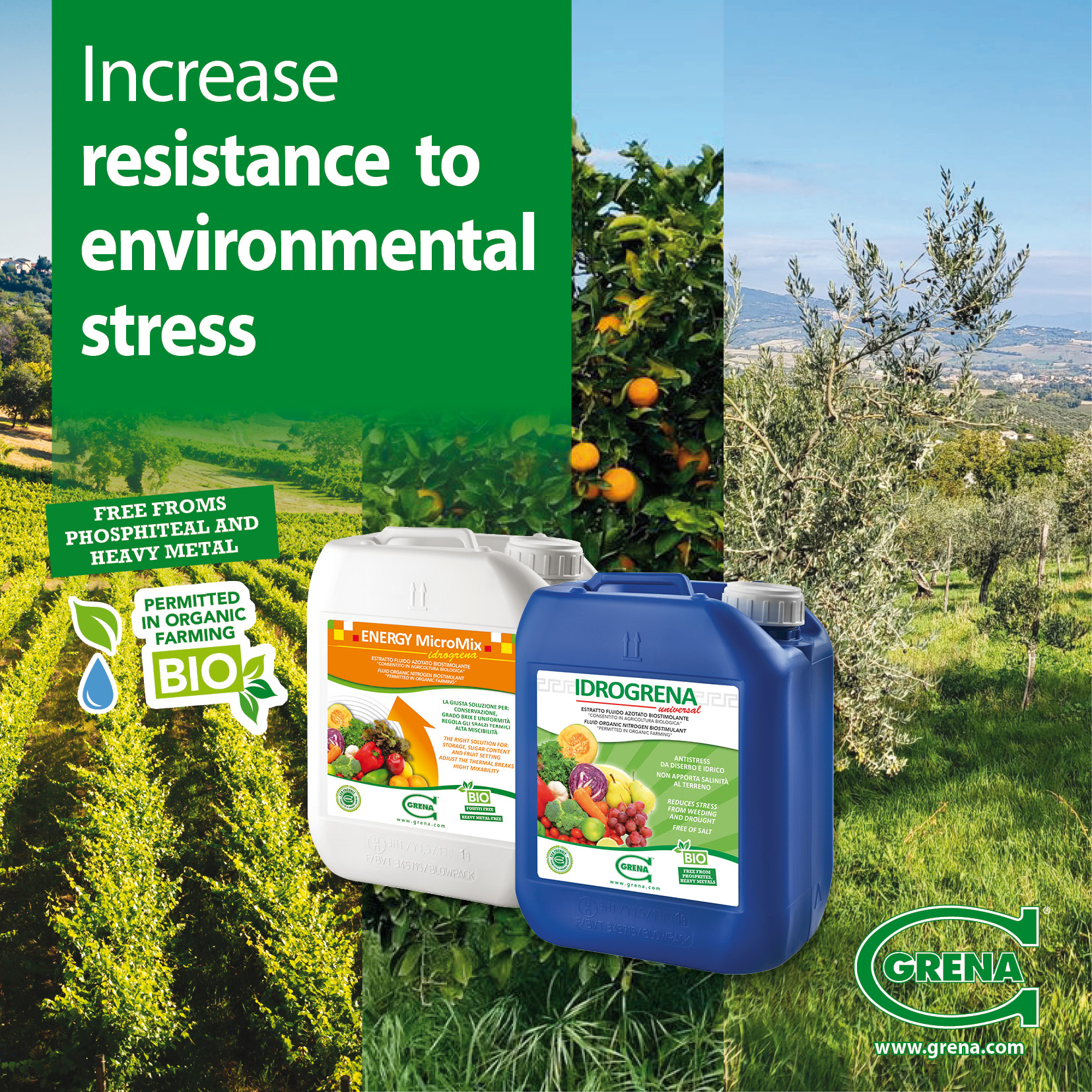 News IDROGRENA stress da vento irrobustire ENG