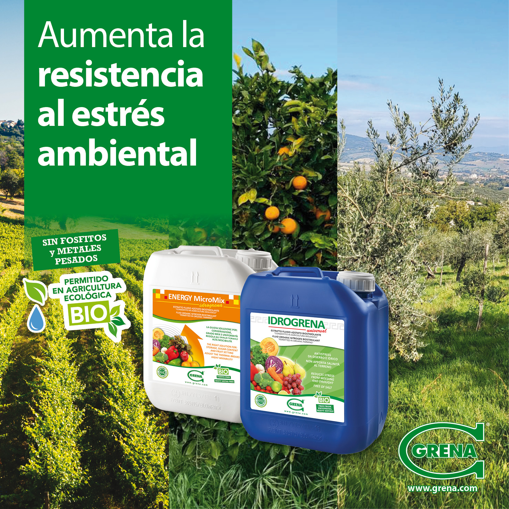 News IDROGRENA stress da vento irrobustire SPA