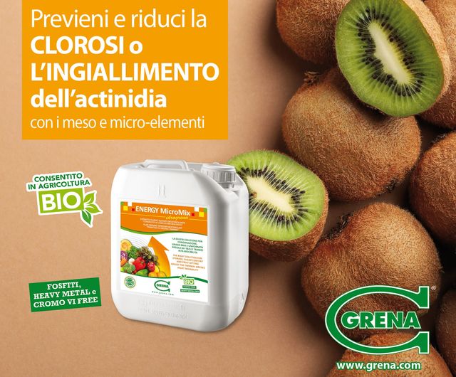 Previene y reduce la CLOROSIS o AMARILLAMIENTO de los actinidios