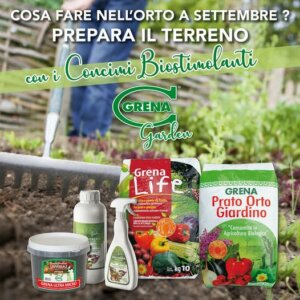 It's time to take care of and renew our garden