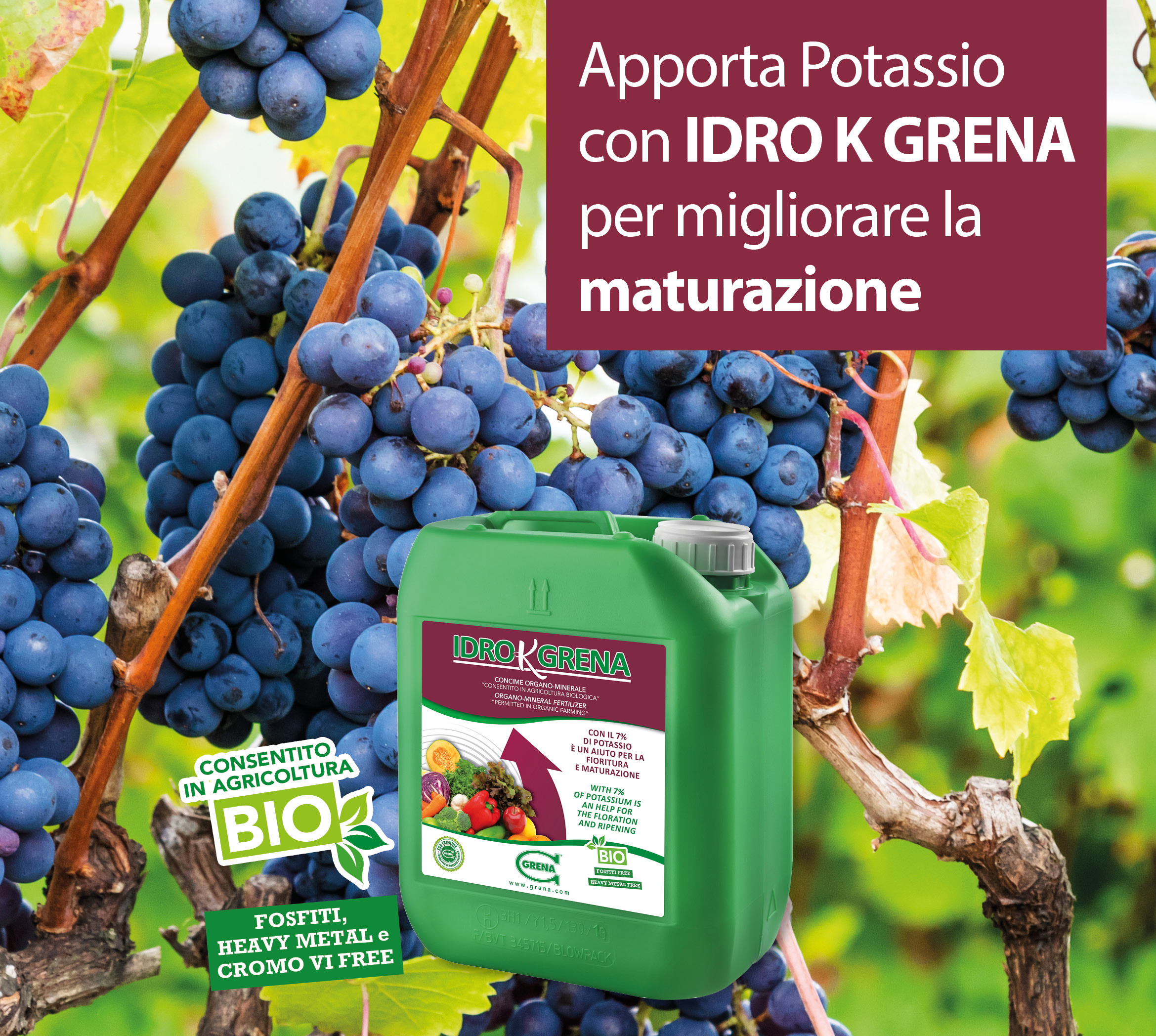 Loc MATURAZIONE Idro K grena 2023