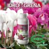 Rosa, Fuchsia, Lila, ein Farbtupfer, der Ihr Zuhause auch im