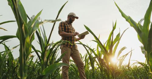 Defense and fertilization, with the CAP new declaration obligations